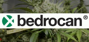 Canadian Medical Cannabis Producer Slashes Prices