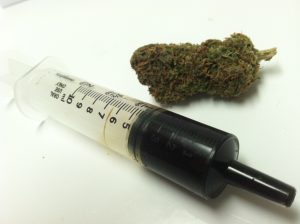 Missing Half Million Worth MMJ Oil